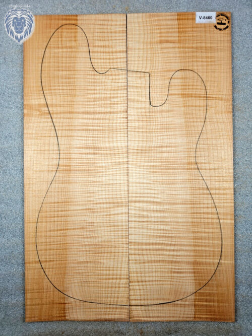 Prem. curly Maple Guitar Top, 6,2mm (V-8460)